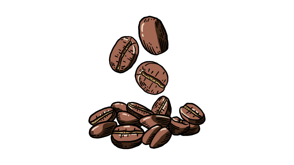 coffees beans